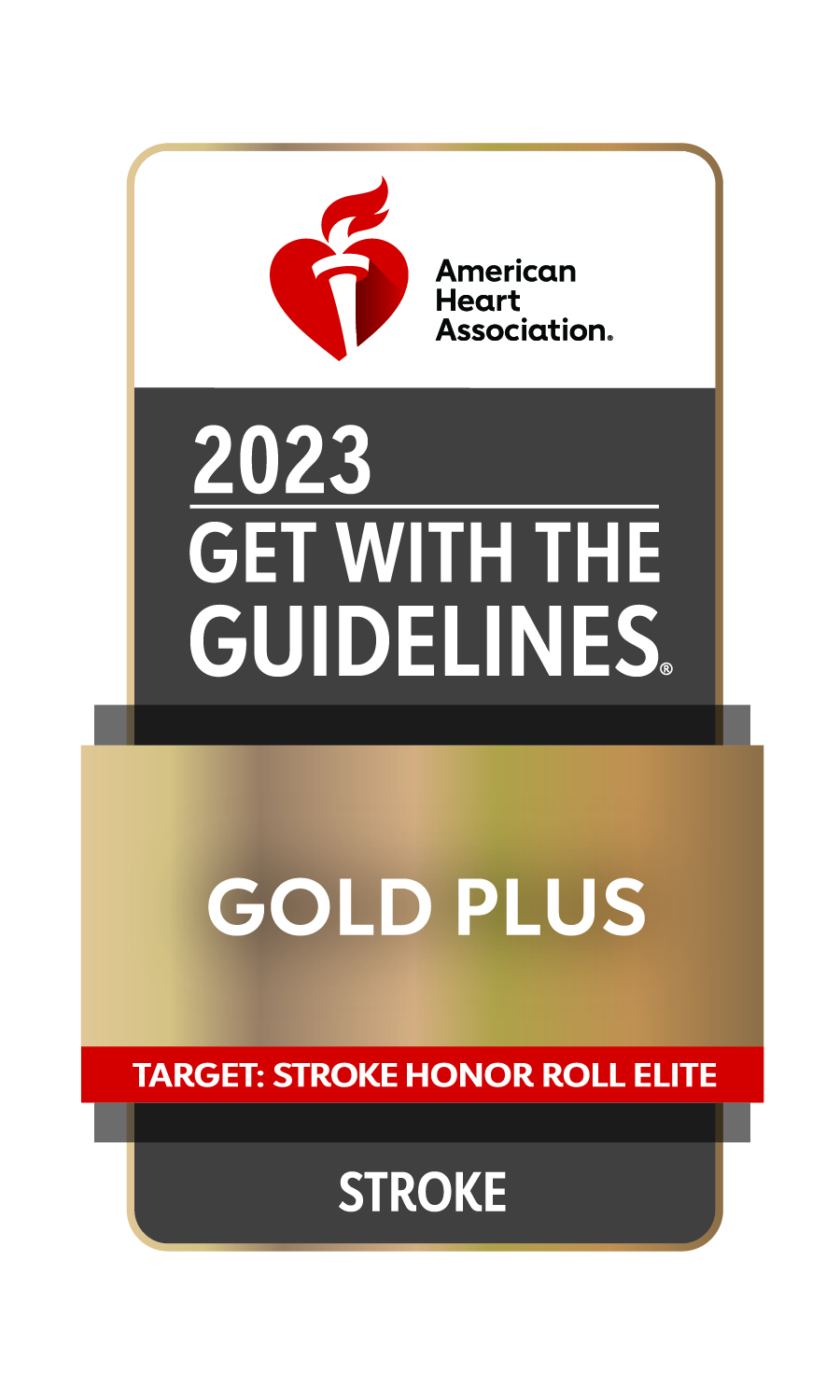 Get With the Guidelines 2023 Stroke Gold Plus Achievement Award with Target: Stroke Honor Roll Elite icon