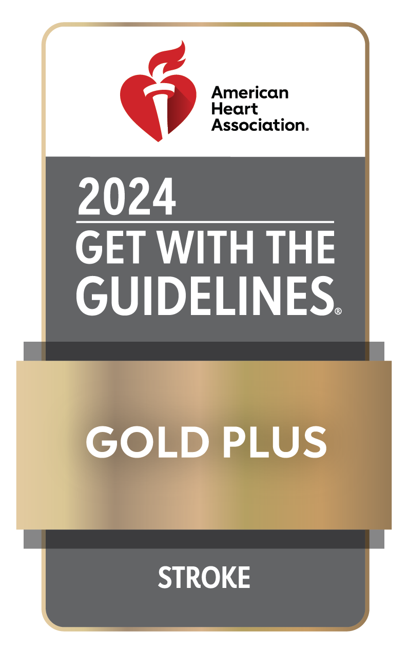 2024 AHA Get With The Guidelines Gold Plus Stroke logo