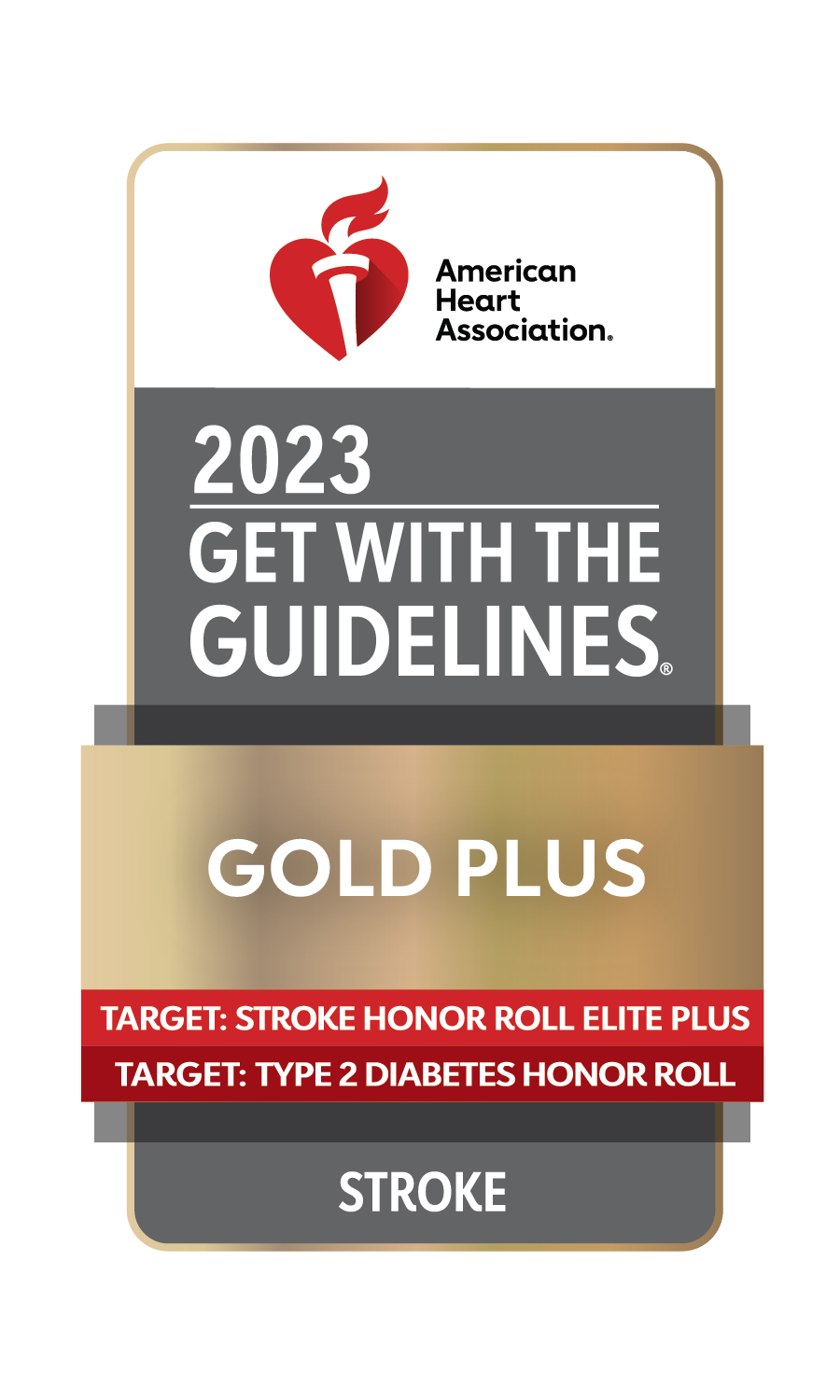 2023 AHA Get with Guidelines Stroke Award Logo