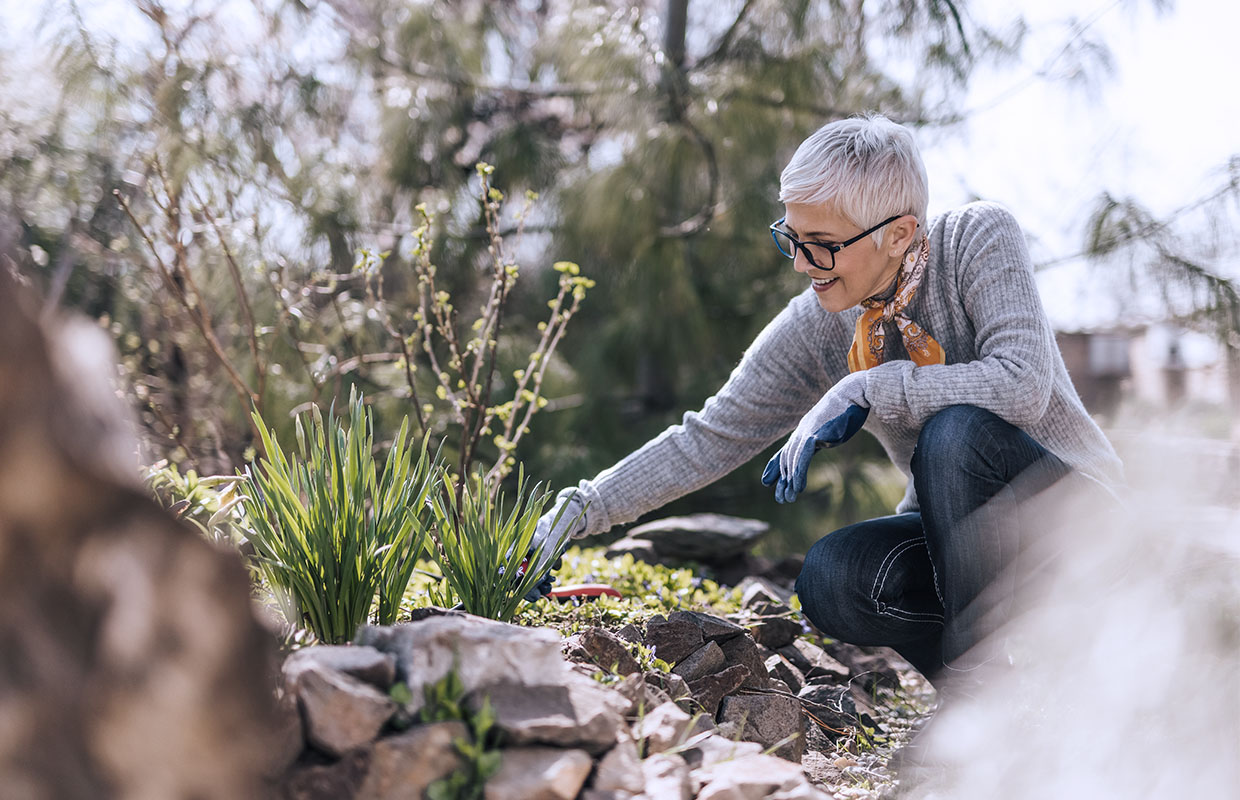 elderly woman pulling weeds outside