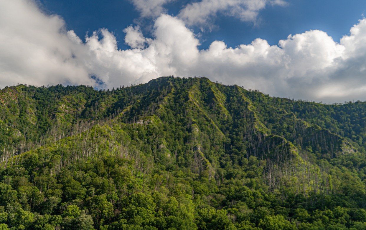 Smoky Mountains