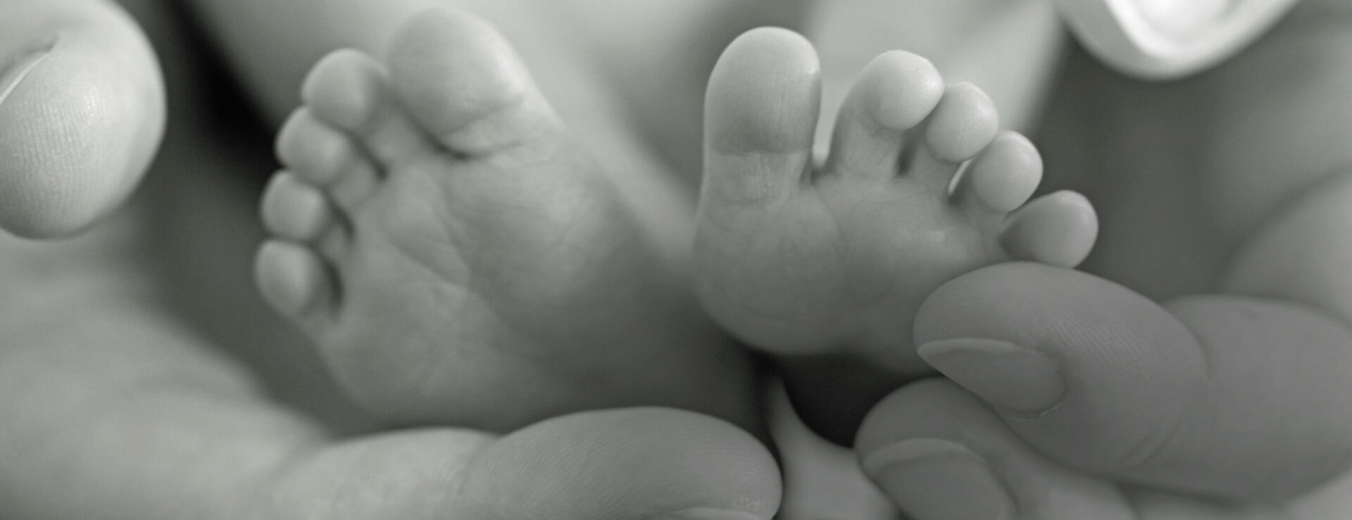 Babies feet