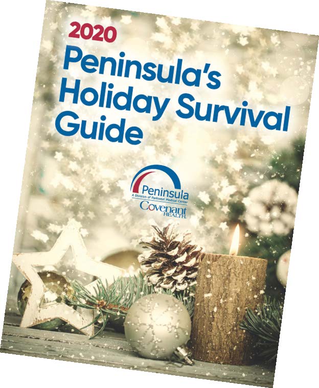 cover of Holiday Survival Guide