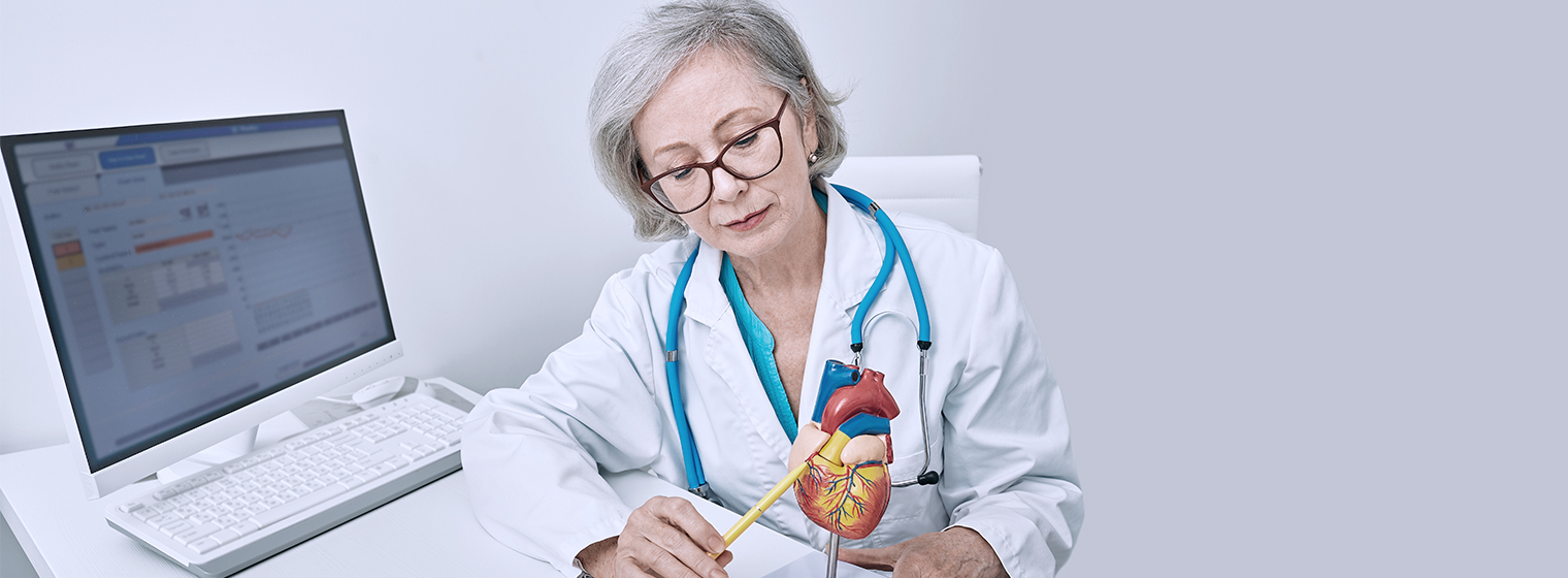 senior female doctor pointing at something on a heart model
