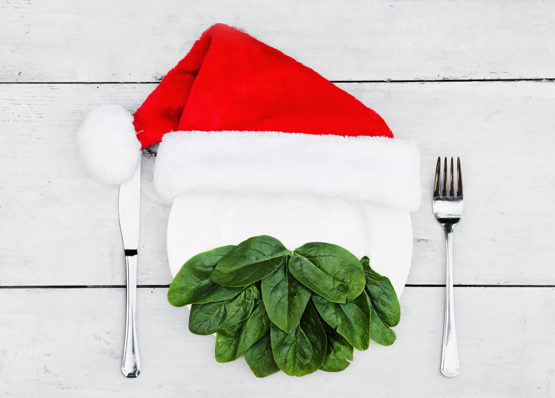 Nutrition Ammunition During the Holidays
