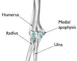elbow Elbow