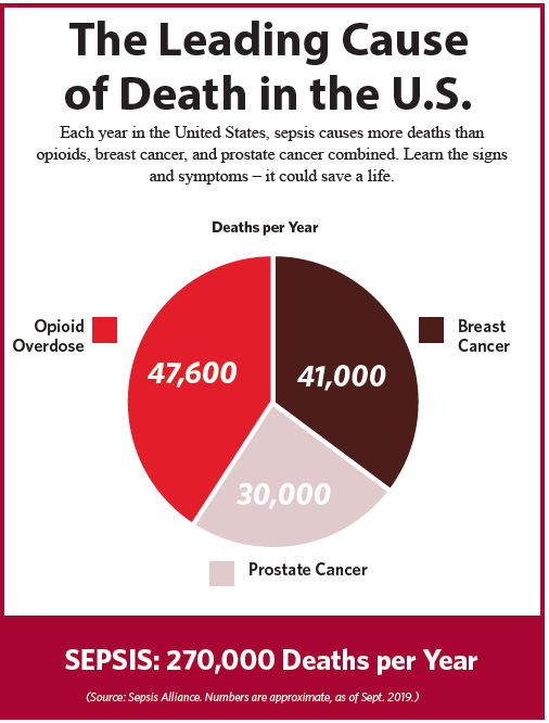 Sepsis pie chart 