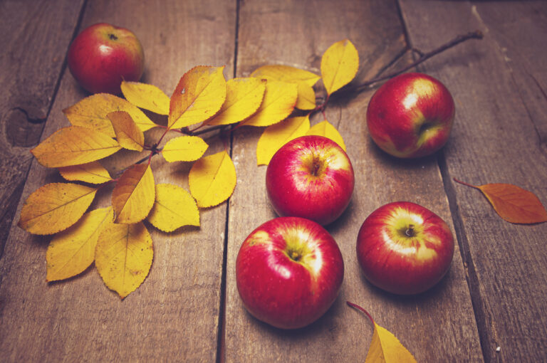 Fresh Organic Apples on Wooden Board after Harvesting Picking