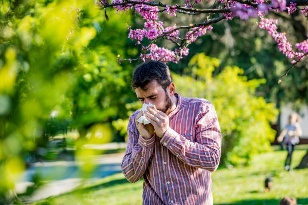 Man with allergies sneezing near blooming tree