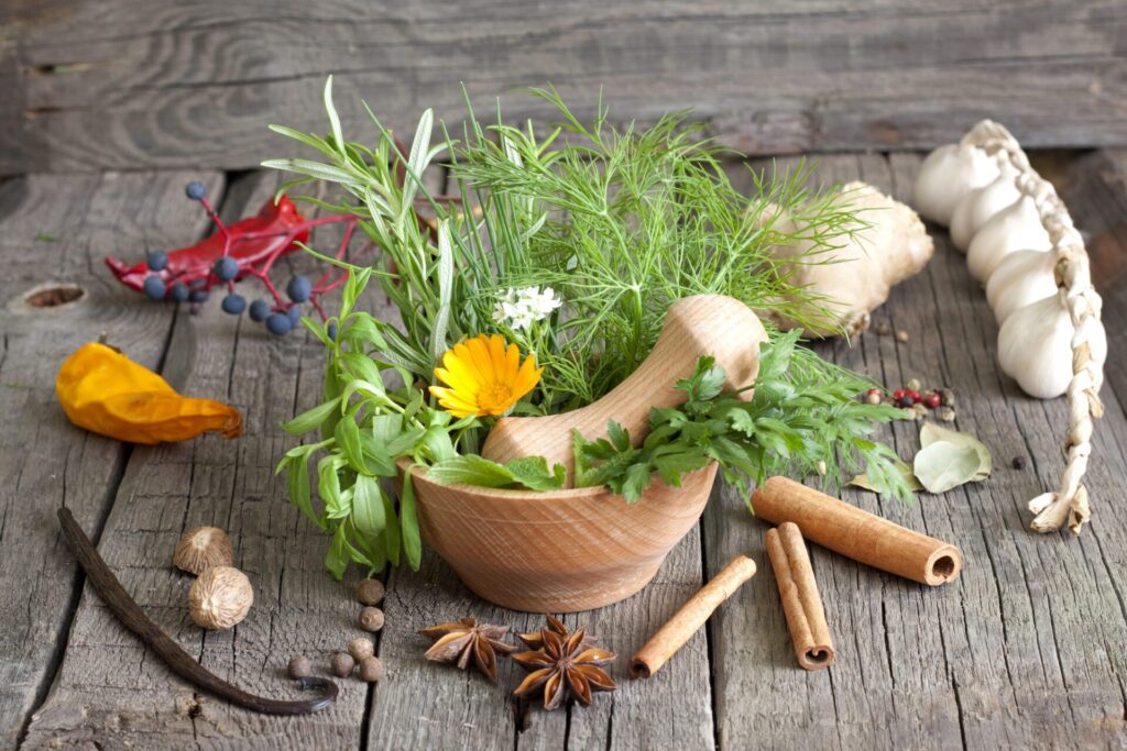 Bowl-of-flowers-and-herbs-surrounded-by-garlic-cinammon-and-spices-often-used-in-Appalachian-home-remedies