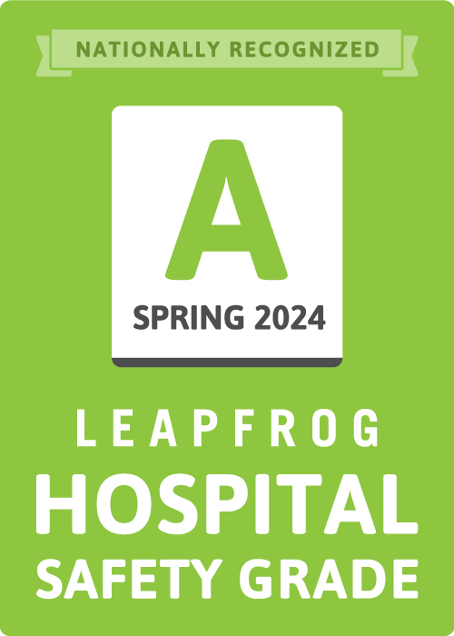 The Leapfrog Group Spring 2024 A logo