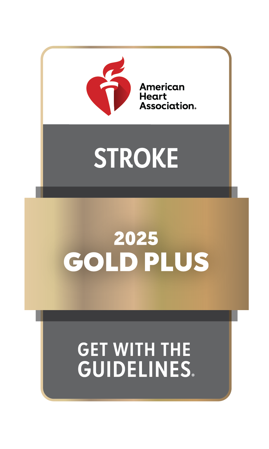 American Heart Association Get With The Guidelines Stroke Gold Plus 2025 logo