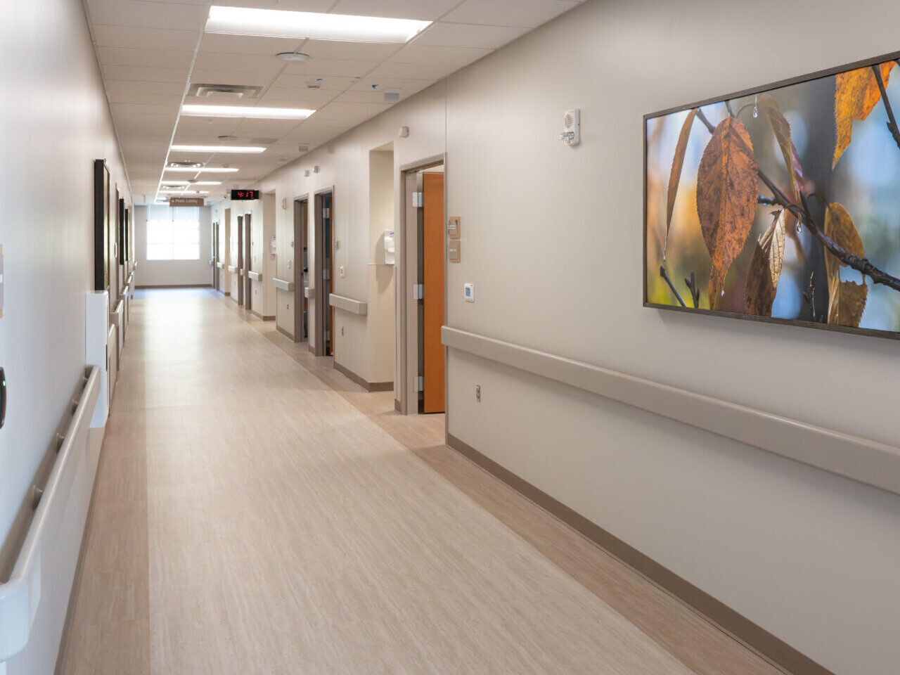 A clean, empty hospital hallway with light-colored floors and walls, handrails on both sides, doors leading to rooms, and a framed photograph of autumn leaves hanging on the right wall. Bright natural light at the far end.