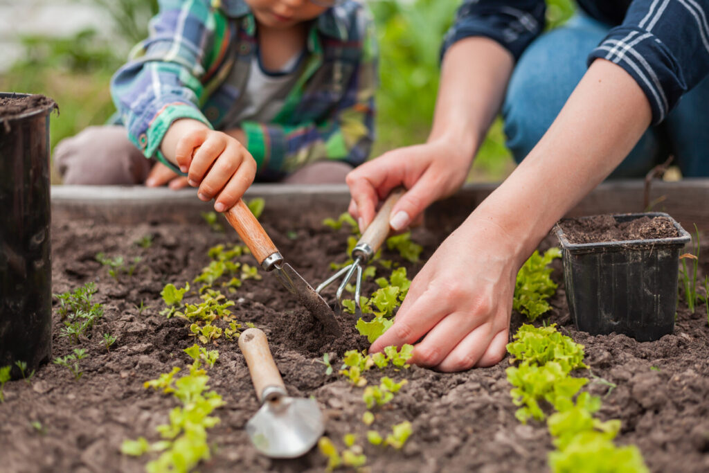 A child and an adult use small gardening tools to plant young green seedlings in soil, with their hands close together, surrounded by gardening supplies.