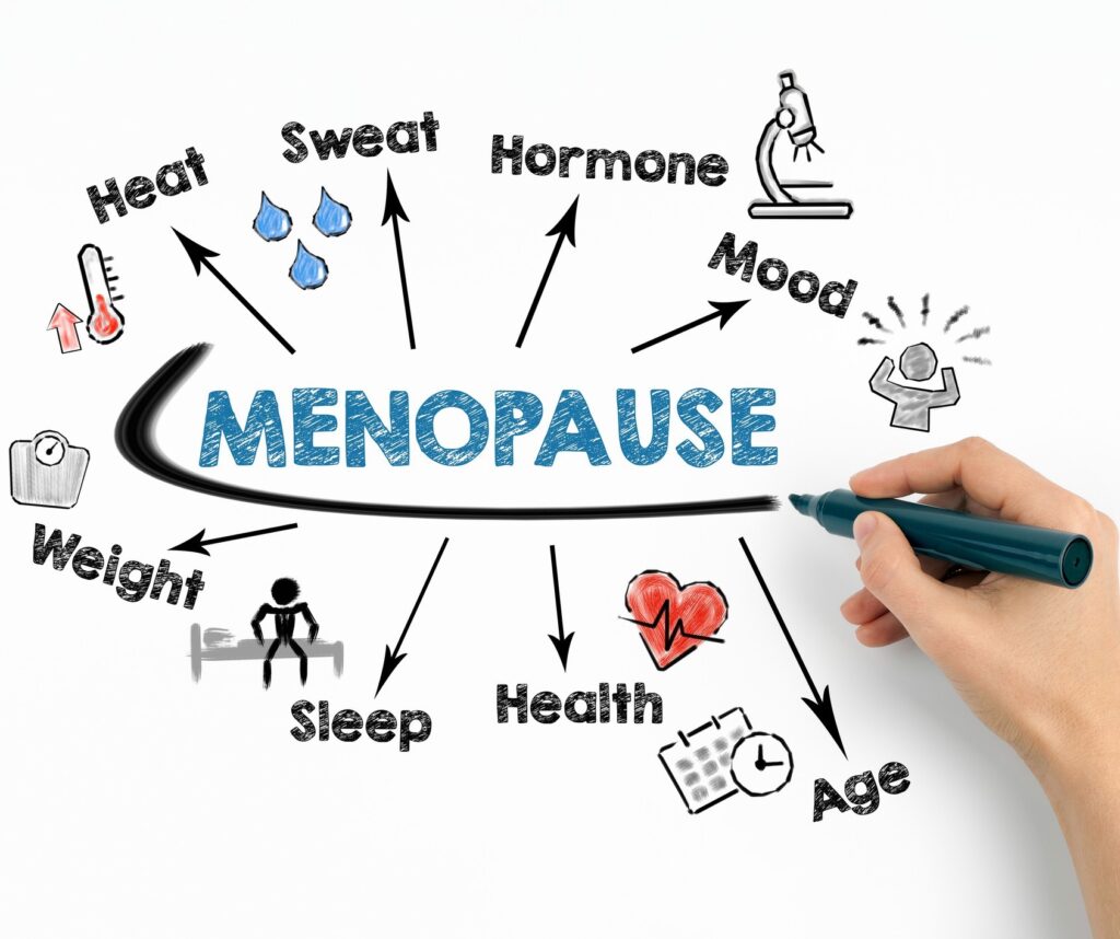 A hand draws arrows from the word “PERIMENOPAUSE AND MENOPAUSE” to illustrations of heat, sweat, hormone, mood, weight, sleep, health, and age, showing symptoms and related factors.