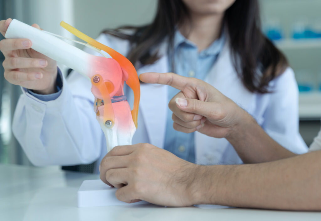 A person in a lab coat holds a knee joint model, highlighting an inflamed area, while another person points at the model, suggesting a medical consultation about knee pain or injury.